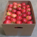 قیمت سیب صادراتی در ایران