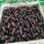 خرید جدید ترین انواع خرما ربی ایرانشهر