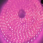چراغ ال ای دی هفت رنگ (لامپ) اتوماتیک 12 ولت روکش پلاستیک