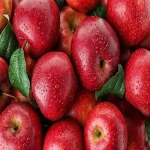 سیب ارومیه؛ استخوانی قرمز زرد سبز تقویت سیستم ایمنی Orumieh apple