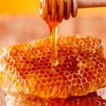 عسل طبیعی بندرعباس؛ تازه طبع گرم درمان کم خونی درد عضلات
