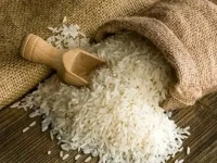 مشخصات برنج طارم استخوانی فریدونکنار و نحوه خرید عمده