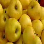 سیب زرد دماوند؛ حاوی ویتامین A C درمان یبوست دیابت