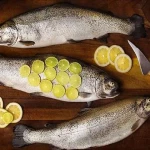 راهنمای خرید ماهی قزل آلا خال سیاه با شرایط ویژه و قیمت استثنایی