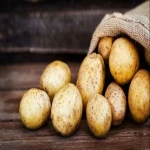 سیب زمینی وارداتی؛ شیرین پوست زرد نازک نشاسته مواد مغذی potato