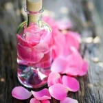 گلاب طبیعی | فروشندگان قیمت مناسب گلاب طبیعی