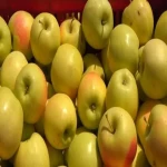 قیمت خرید سیب زرد ماتیکی + خواص، معایب و مزایا