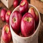 سیب درختی دماوند ؛ بیش از 7500 نوع گونه خام تازه آبدار