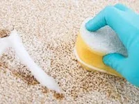 شامپو فرش گیاهی (شوینده) پاک کننده قوی بدون مواد شیمیایی