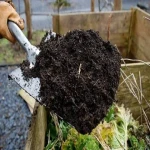 کود سیاه برای زعفران؛ پودری مایع 5 کیلویی آهن Potassium