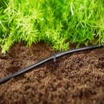 کود هیومیک اسید مورگان؛ ارگانیک تقویت خاک گیاه درختان زراعی Humic acid