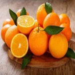 تشخیص بهترین پرتقال با کیفیت و بررسی انواع آن