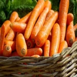 میوه خشک هویج؛ تقویت سیستم ایمنی سلامت دندان حاوی Vitamin