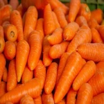 خرید بهترین انواع هویج نارنجی با قیمت ارزان