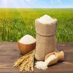 خرید و قیمت روز برنج دودی شمال