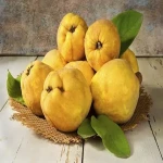 خرید باکیفیت ترین انواع میوه به با قیمت ارزان