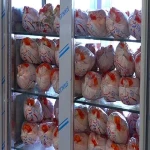 یخچال ویترینی مخصوص مرغ؛ متنوع مقاوم ضد زنگ دارای چرخ محرک