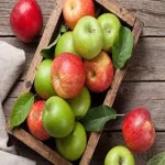 خرید سیب درختی برای سرماخوردگی + قیمت عالی
