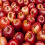 سیب تبریز؛ ریز درشت متوسط حاوی ویتامین (A D E K)