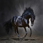 خرید اسب عرب تیره خرسان + بهترین قیمت