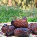 خرمای پیارم حاجی آباد؛ خشک درشت حالت کشیده قرمز شکلاتی Iran