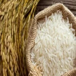 برنج ایرانی خوشبو | قیمت خرید عمده و فله