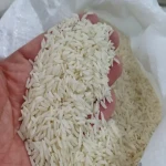 برنج دم سیاه؛ معطر بافت لطیف (سفید شیری کرمی) مطلوب