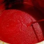 رب گوجه فرنگی آنوشا؛ ارگانیک غلیظ شیشه ای درپوش محافظ ویتامین (A C B K)