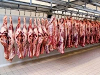 مشخصات گوشت گرم گوسفندی و نحوه خرید عمده
