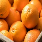 پرتقال محلی گیلان؛ تقویت سیستم ایمنی بدن رفع  کم خونی ترش شیرین
