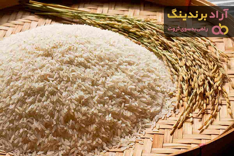 لیست قیمت برنج شمال کشت دوم ۱۴۰۱