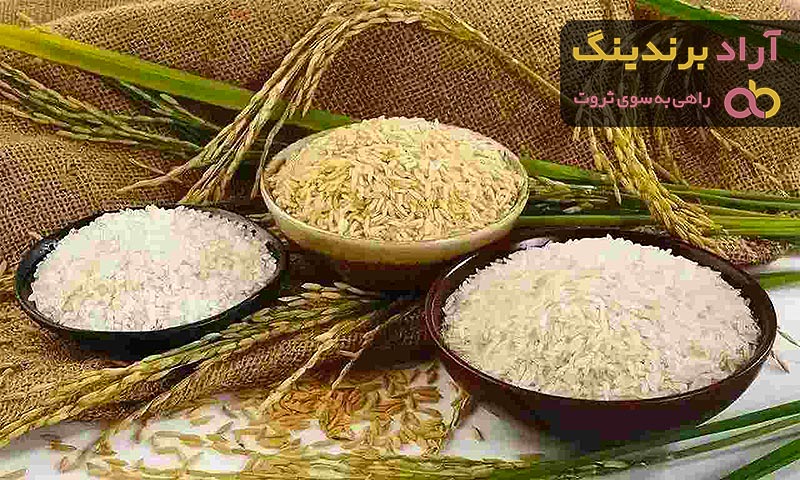 معرفی انواع برنج شمال + قیمت خرید روز