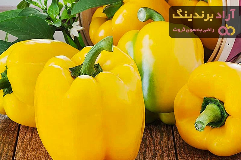 قیمت خرید فلفل دلمه زرد + فروش در تجارت و صادرات