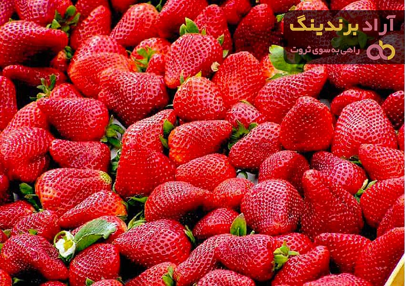 قیمت توت فرنگی گلخانه ای + بهترین قیمت خرید روز محصول با جدیدترین لیست قیمت فروش