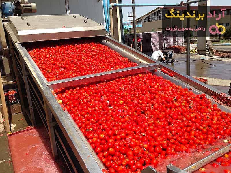 خرید رب گوجه فرنگی قم با بهترین غلظت مستقیم از کارخانه 