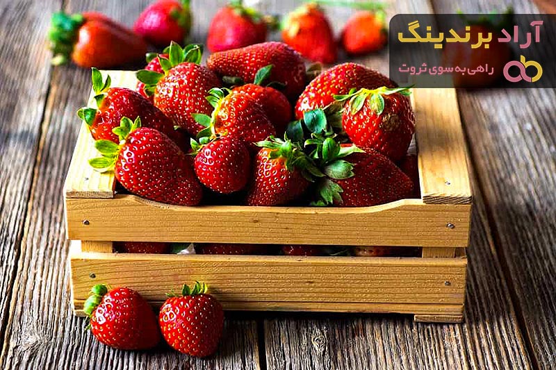 توت فرنگی گلخانه ای هیدروپونیک (Hydroponic greenhouse strawberries) + قیمت خرید عالی