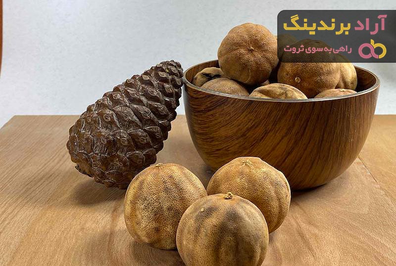 خرید لیمو عمانی خشک حلقه ای + بهترین قیمت