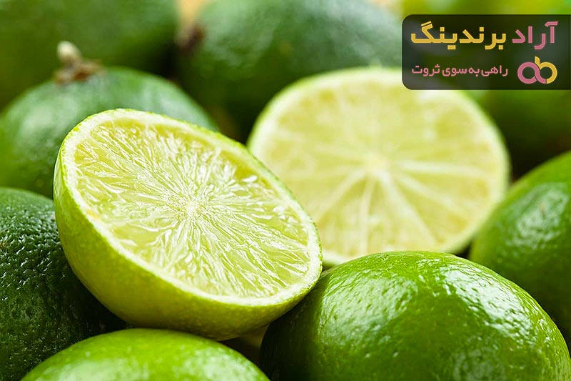 قیمت لیمو ترش شیراز + بهترین قیمت خرید روز لیمو ترش شیراز با جدیدترین لیست قیمت فروش