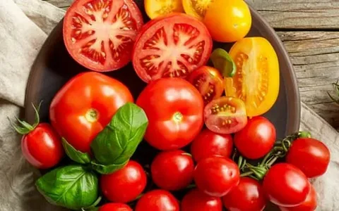 گوجه فرنگی ربی | فروشندگان قیمت مناسب گوجه فرنگی ربی