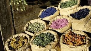 گیاهان دارویی | فروشندگان قیمت مناسب گیاهان دارویی