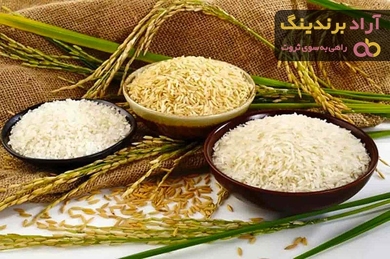قیمت برنج ایرانی عطری + مشخصات بسته بندی عمده و ارزان