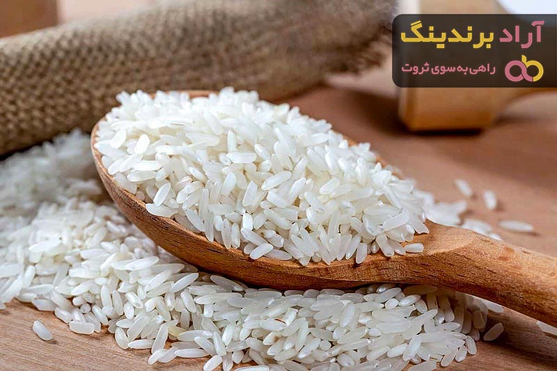قیمت خرید برنج هاشمی از تولید به مصرف به صورت عمده و جزئی