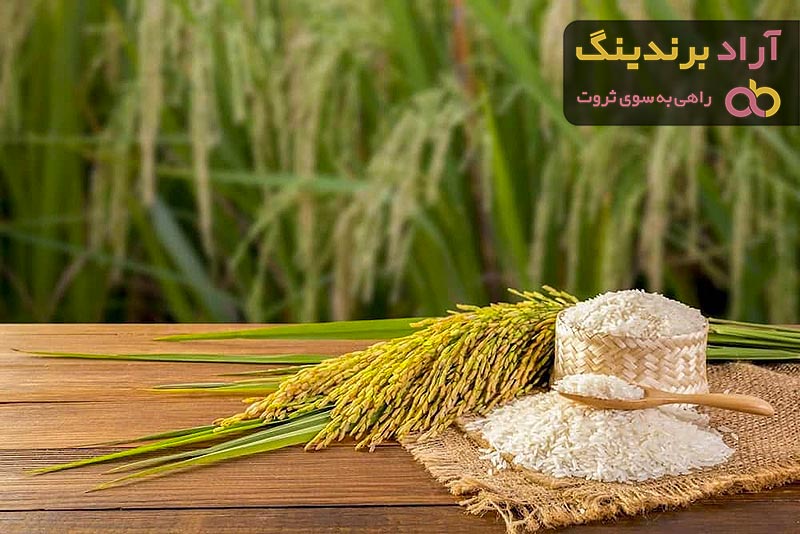 خرید برنج ایرانی اصل + قیمت عالی با کیفیت تضمینی