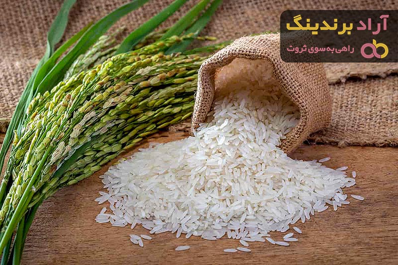 خرید برنج ایرانی | فروش با قیمت مناسب