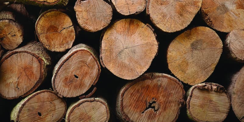 چوب ترموود فنلاندی؛ منعطف باکیفیت کاربرد (صنعتی غیر صنعتی)