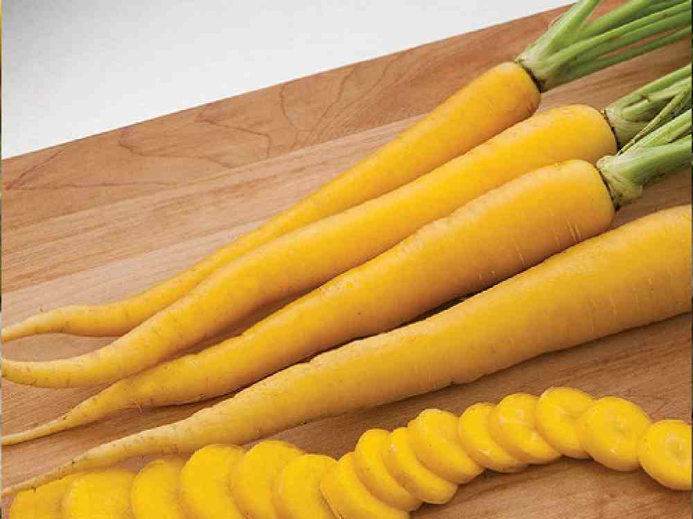 هویج صحرایی (زردک) طعم شیرین طبع گرم تقویت کبد کاهش وزن