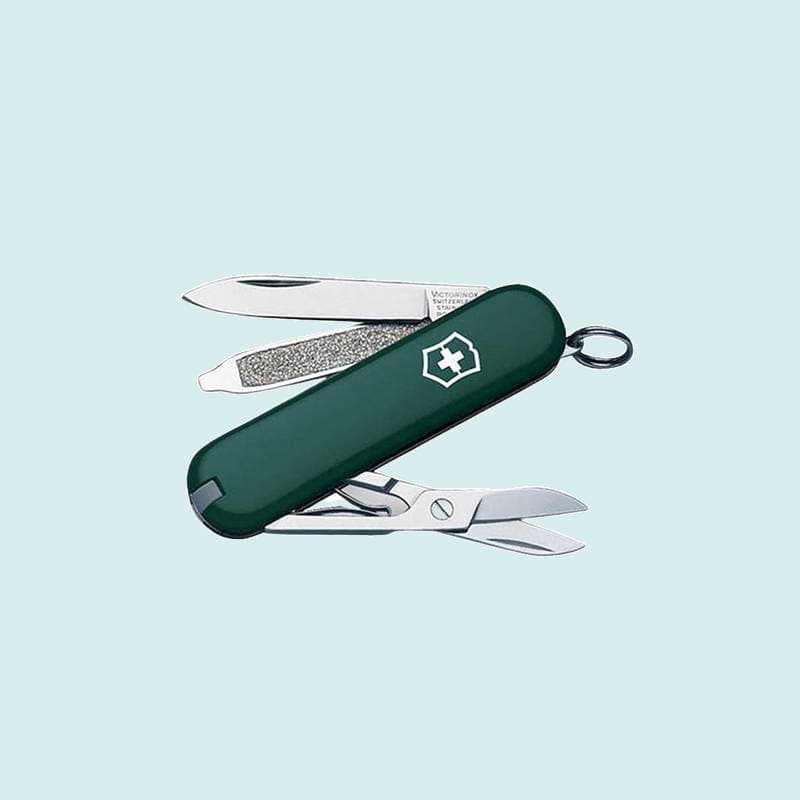 چاقو ویکتورینوکس؛ تیز سبک مناسب آشپزی کوهنوردی طبیعت گردی