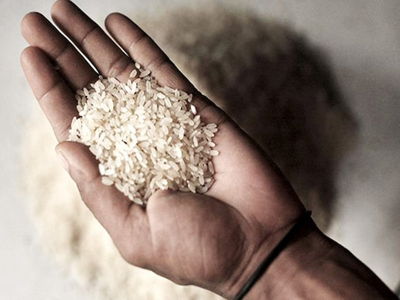 برنج باسماتی پاکستانی طبیعت؛ عطر طعم عالی خوش پخت