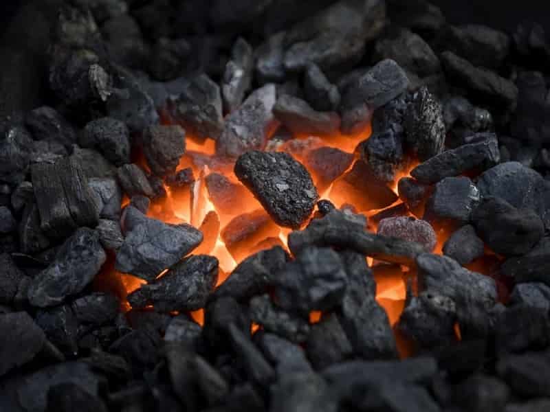 زغال سنگ نارس؛ سیاه قهوه ای 2 نوع پودری جامد Steel
