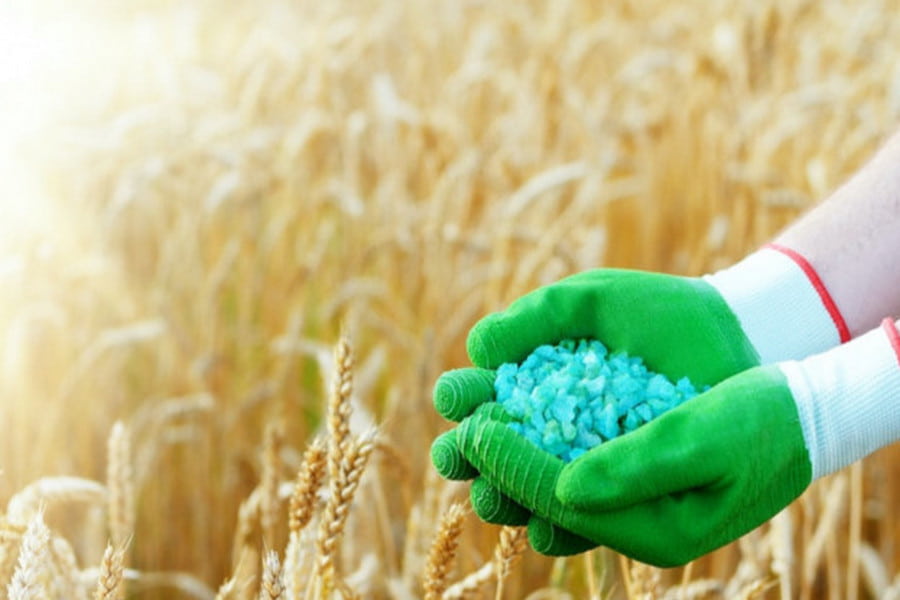 کود اسید هیومیک برای گندم؛ اصلاح مواد معدنی (مایع پودر) پروتئین سرعت رشد